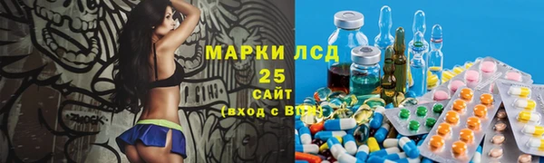 хмурый Алексин