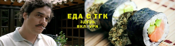 хмурый Алексин