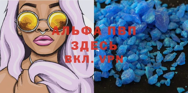 хмурый Алексин