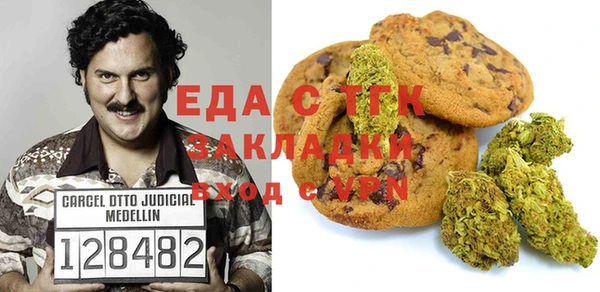 хмурый Алексин