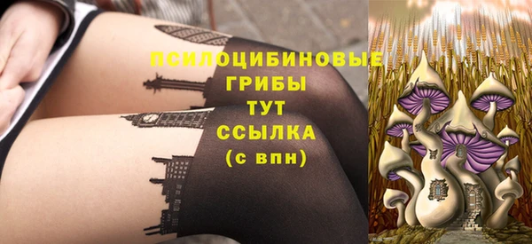 хмурый Алексин