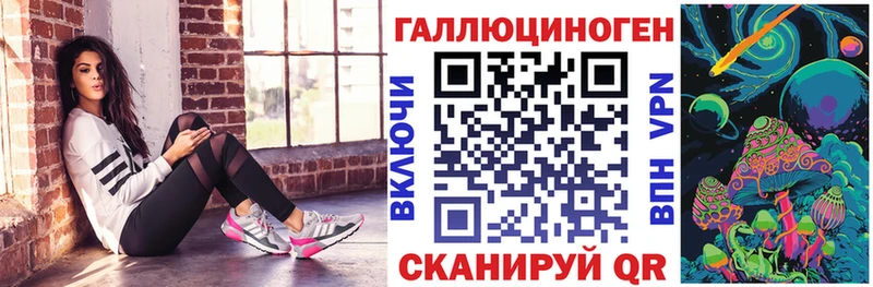 Купить где Темрюк Псилоцибиновые грибы Psilocybe